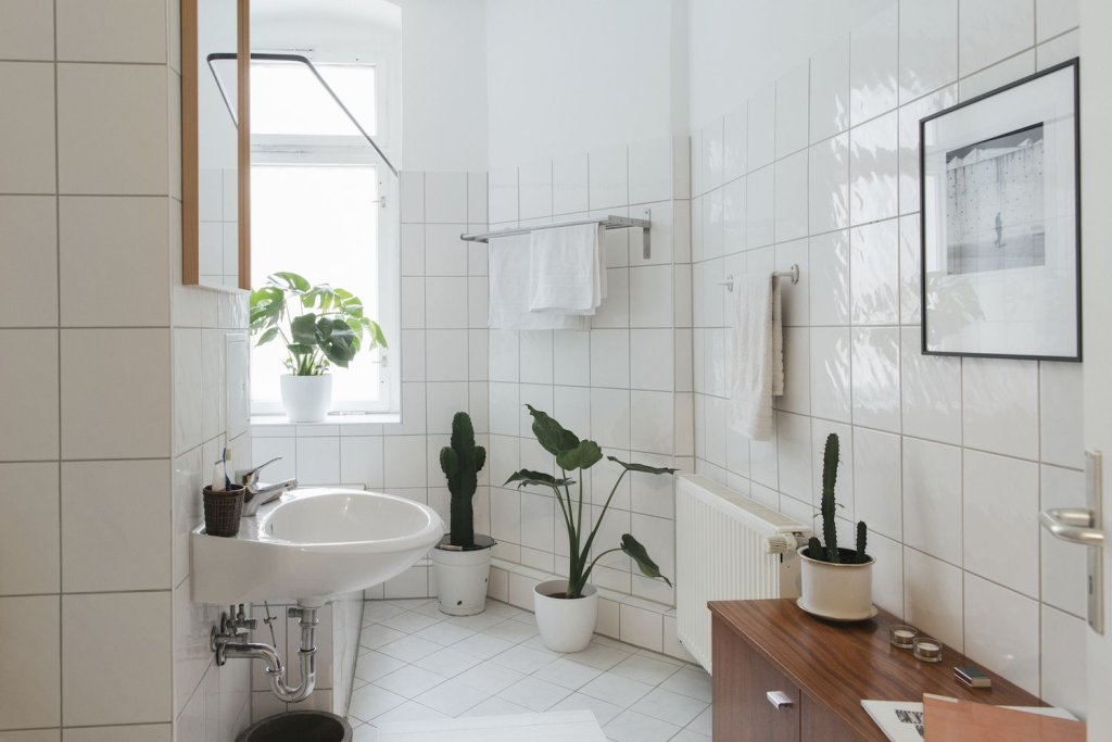 Clean Guest Bathroom