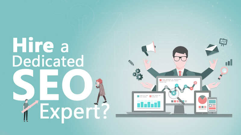 Hire the Right Seo Expert
